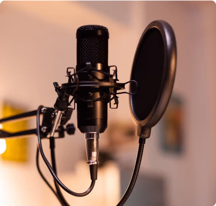 microphone